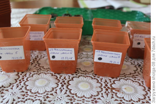 Подписываю и нумерую каждый стакан