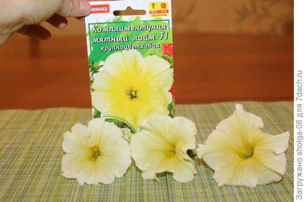 Для сравнения