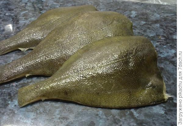 свежая камбала