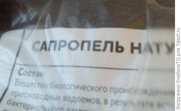Сапропель
