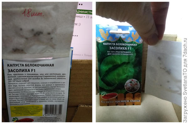 Подсчитала