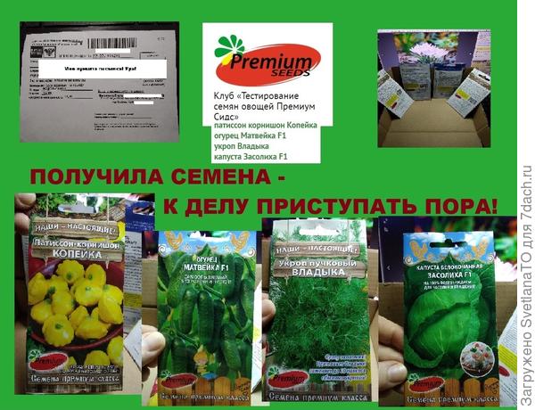 коллаж