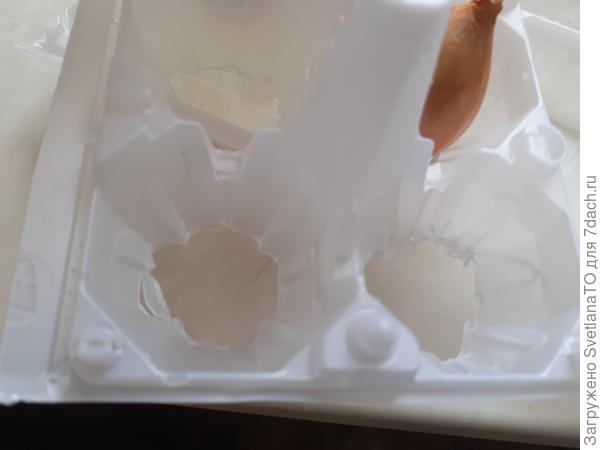 Ячейки готовы