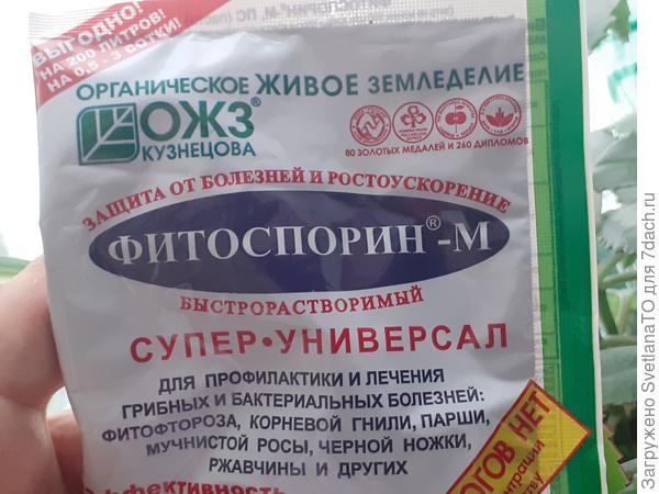Самое нужное и свеженькое!