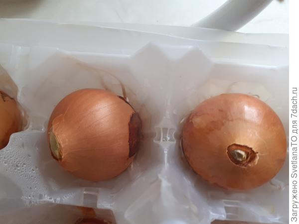 Помогли