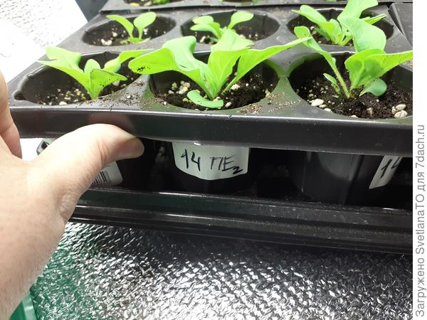 111111