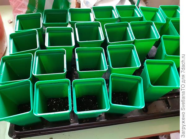 24 готовь-сь