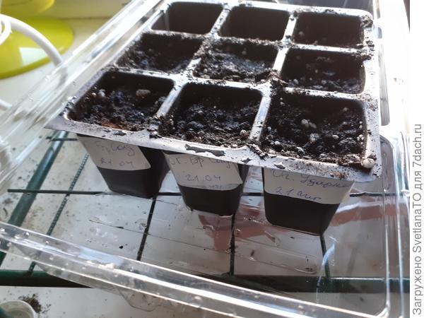 Готовность №1