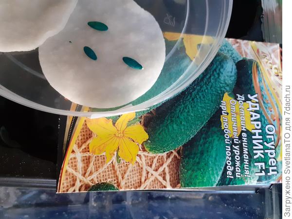 Каждый рассмотрим ближе