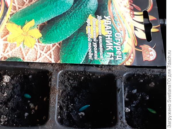 Земля, Земля! Есть контакт!