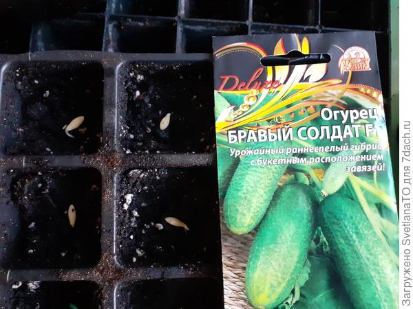 Земля, Земля иду на сближение!