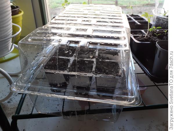 На старт! Внимание! Марш!