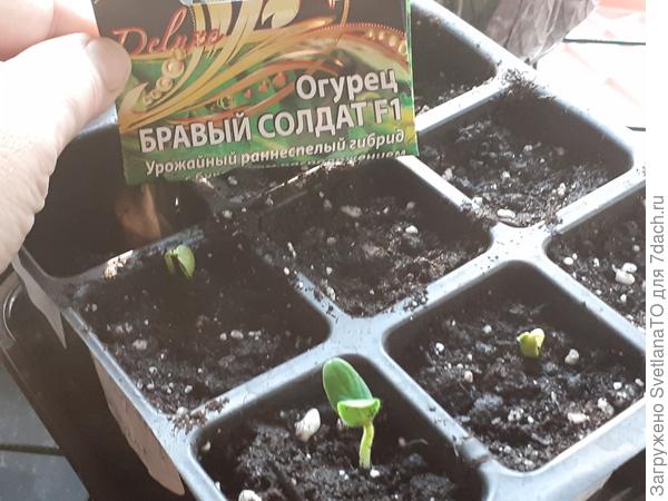 Теперь три!!!!