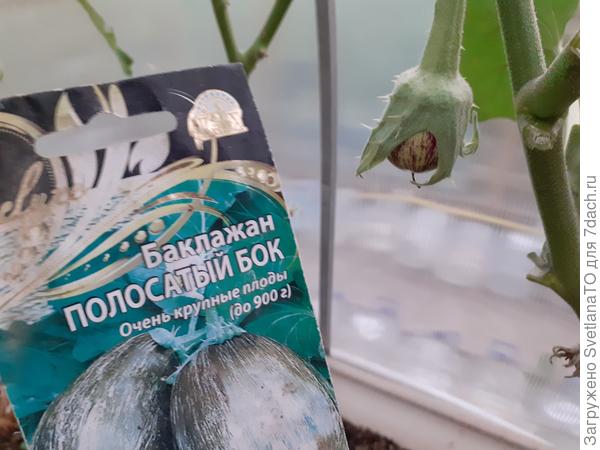 есть