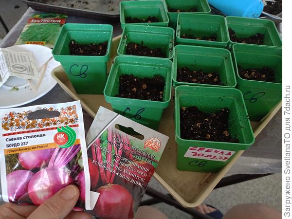 Такое дело!