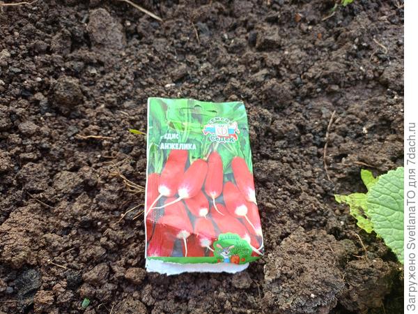 Другая половина