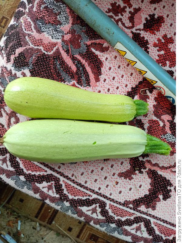 Вкуснятина