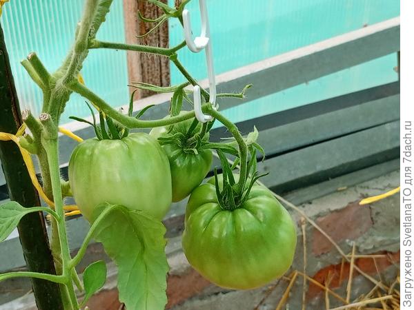 Крупные и немного