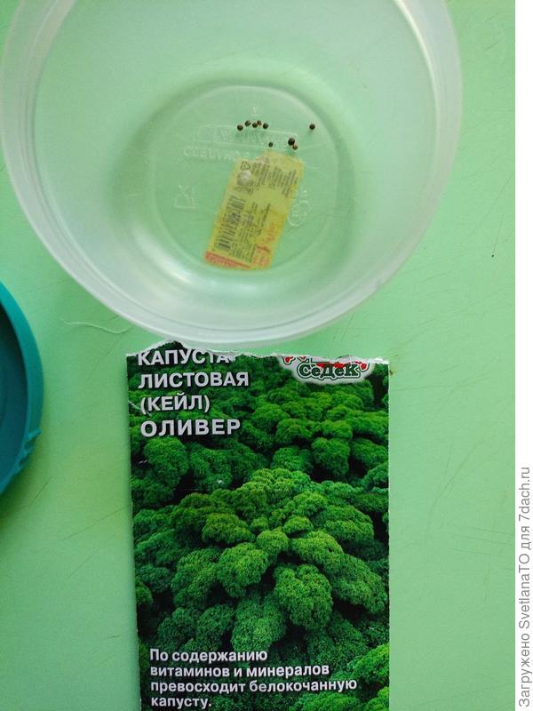 Такие стандартные семена