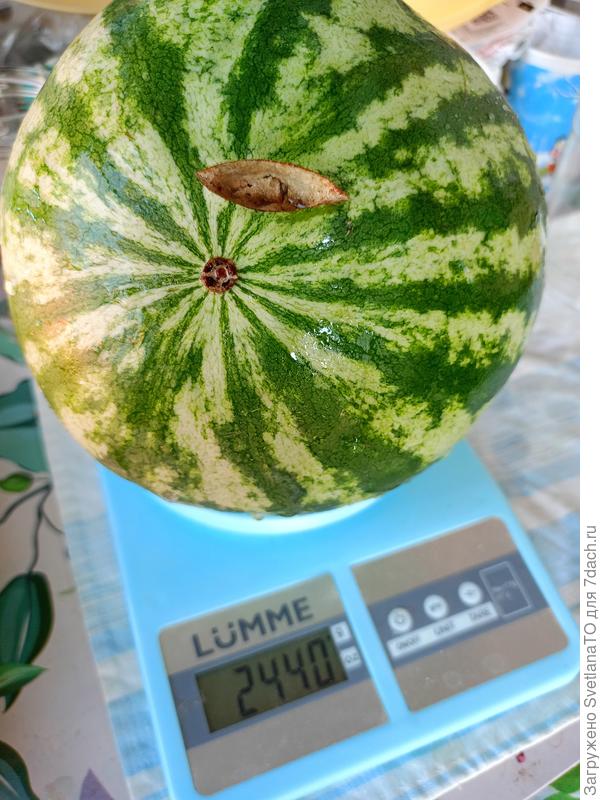 Чуть меньше 2.5 кг