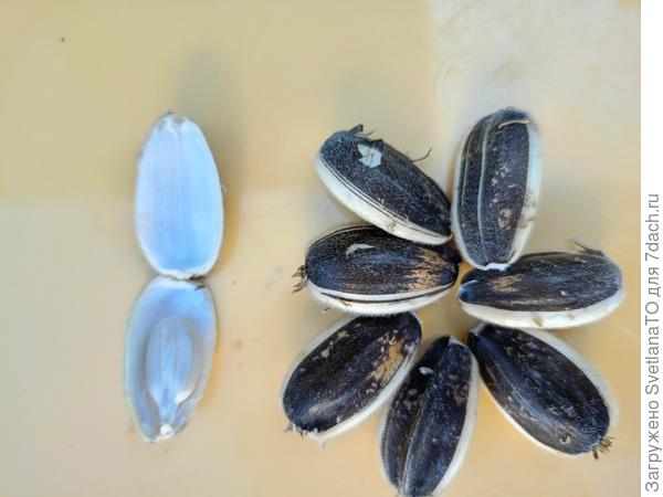 Полные почти все