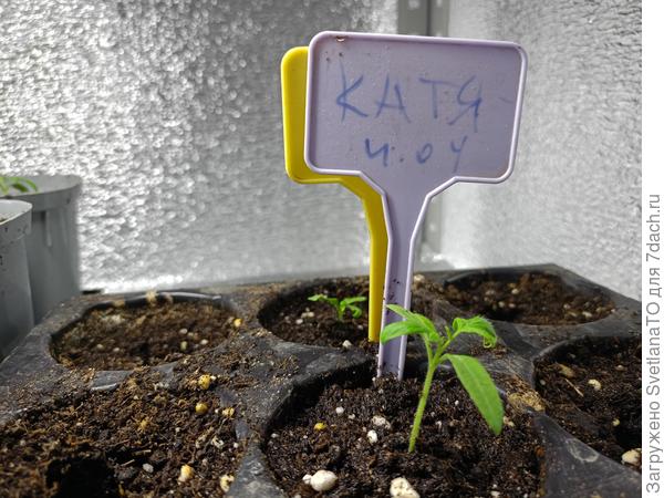 Отдельно, расти малыш Катя