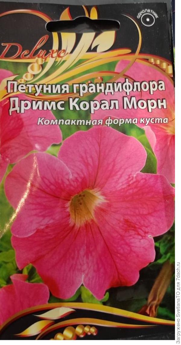 И под звёздочкой, от ВХ
