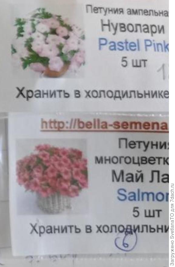 Номера 5, 6