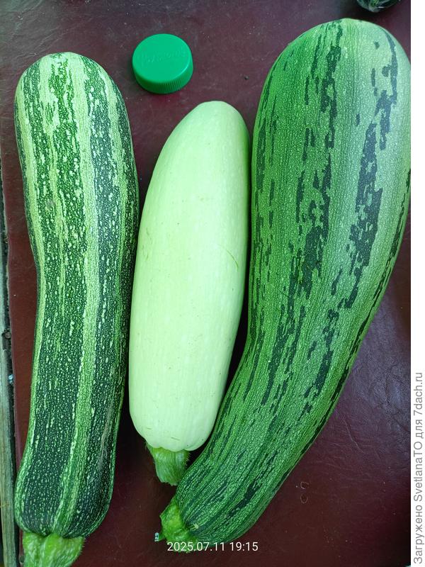 Трио, они такие разные!