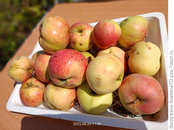 Для фотосессии повернула лучшими бочкАми