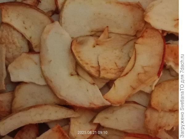 На дне бумажного пакета