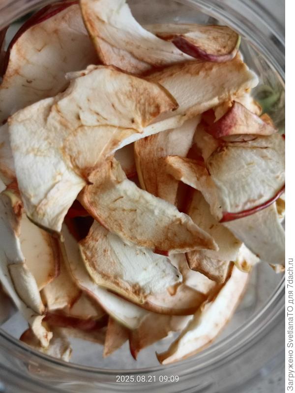 В пластиковой банке, горлышко