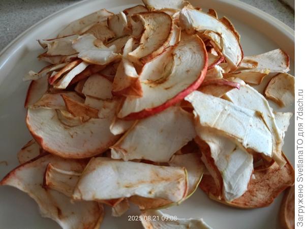 В пластиковой крышке