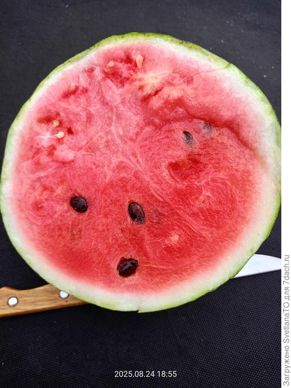 Семена большие что-то