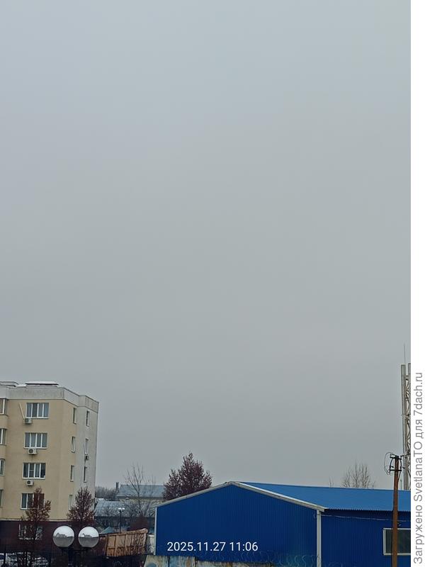 С трудом поймала резкость. Не понимает телефон, что серое небо хотелось мне запечатлеть.