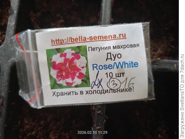 Розевайт или розовобелую номером 3 записала