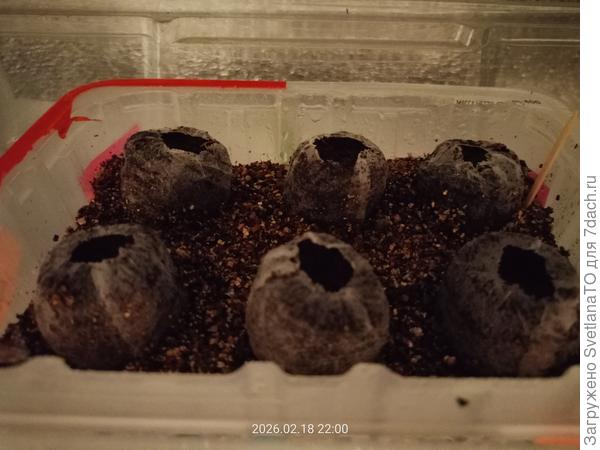 Посев осуществлён