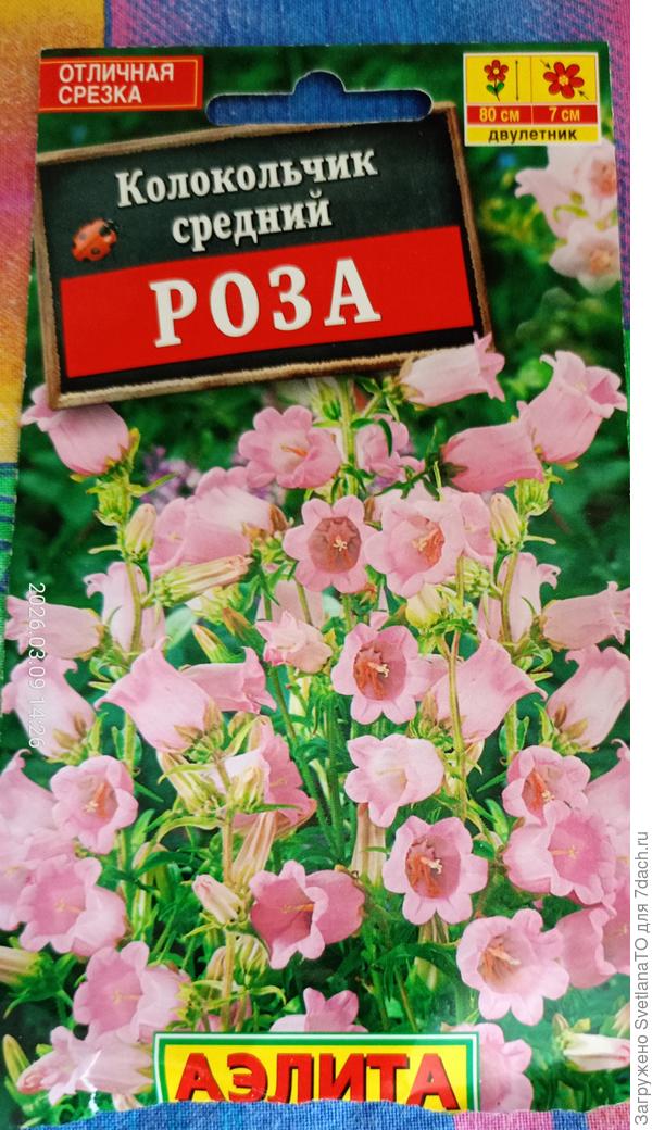 Колокольчик типа роза
