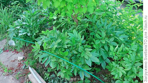 Из серии было/стало