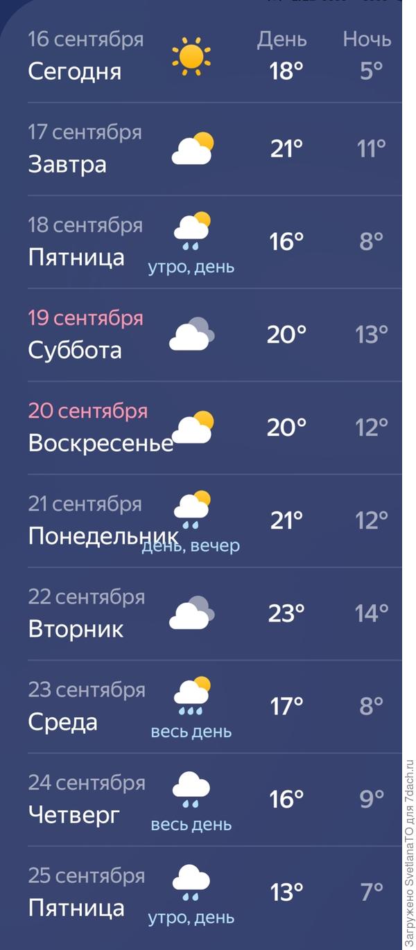 Температура класса люкс!
