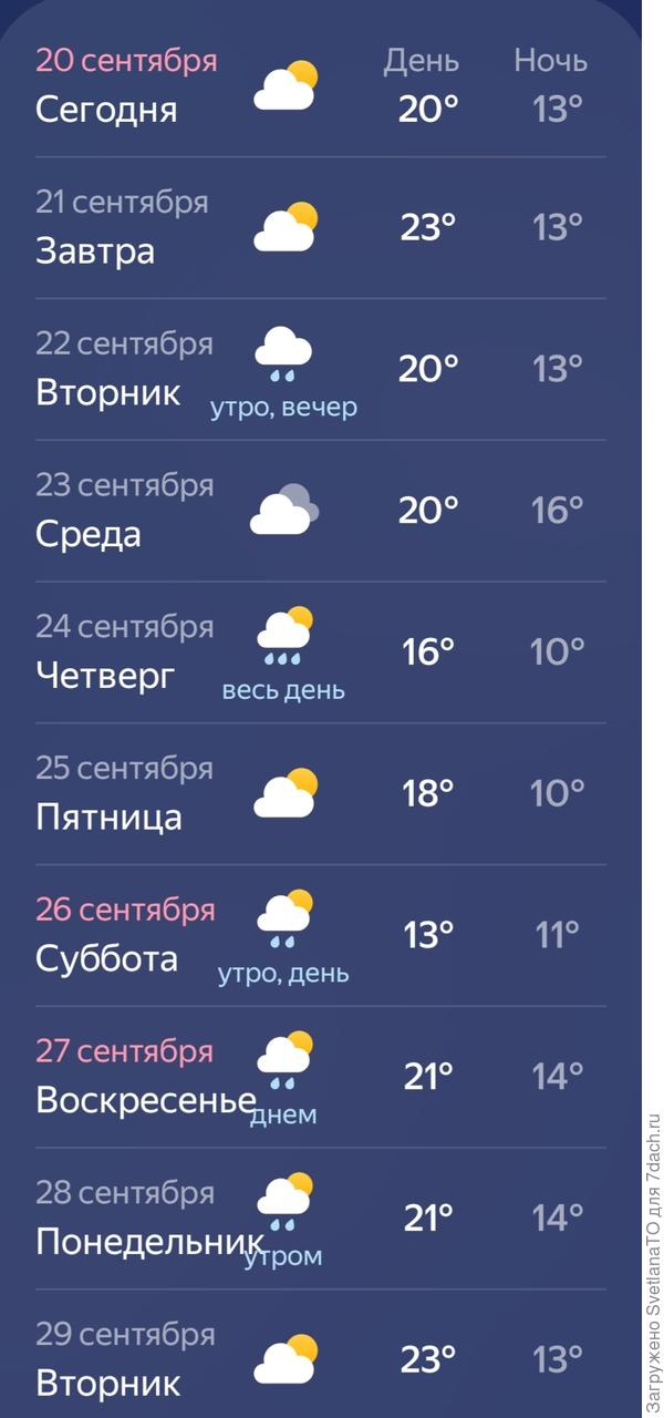 Выпад только 26 сентября