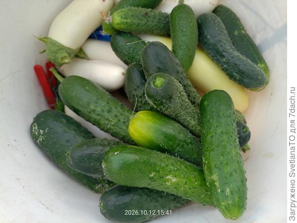В общем такая вкусно!