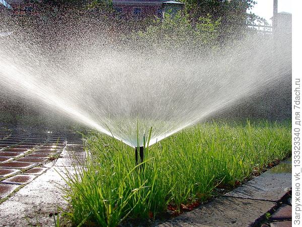 дождевание