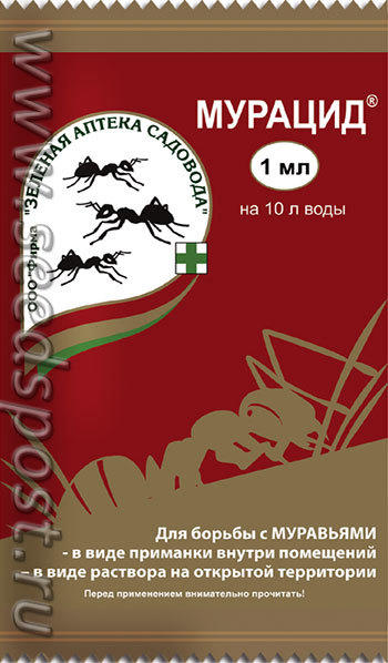 мурацид