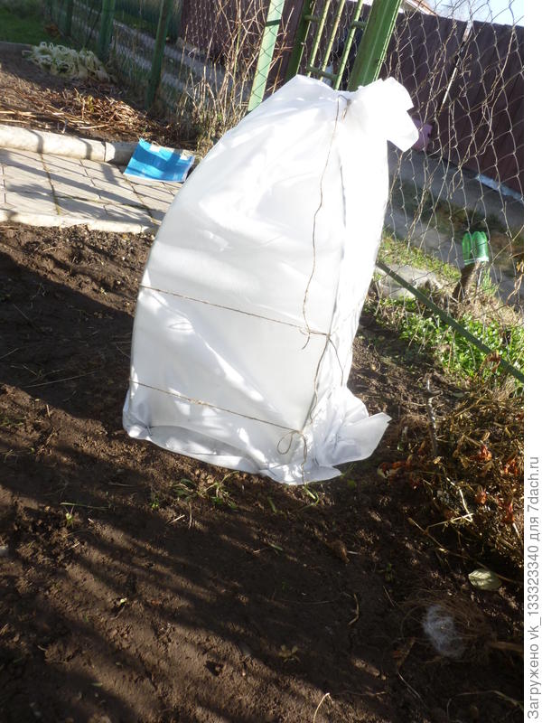 Солнце обманчиво, на улице устойчивый мороз. Пора на зимовку.