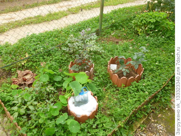 фото середина октября 2017