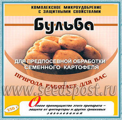 Бульба