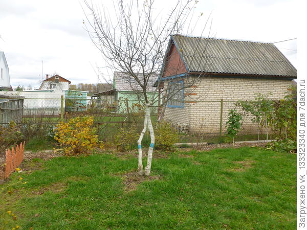 Есть, что вырезать. :)