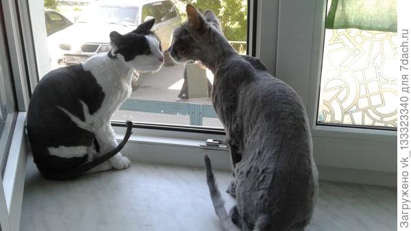 этим жарким летом