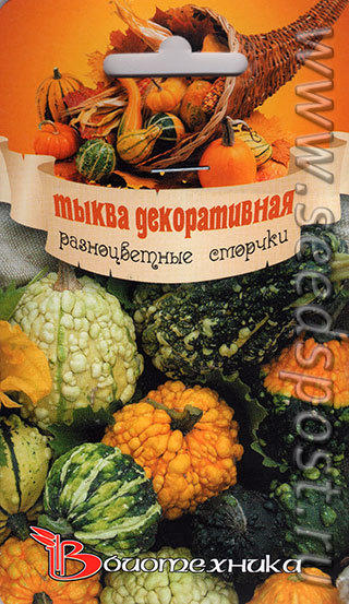 Разноцветные сморчки
